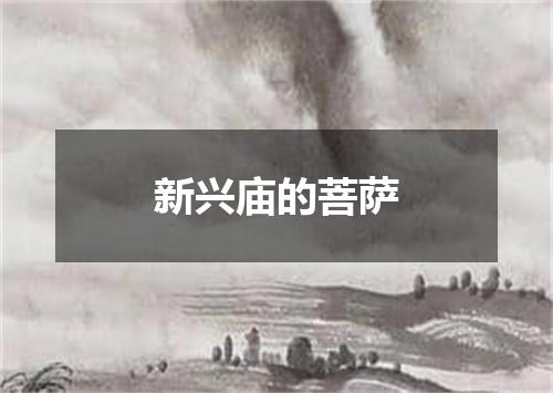 新兴庙的菩萨