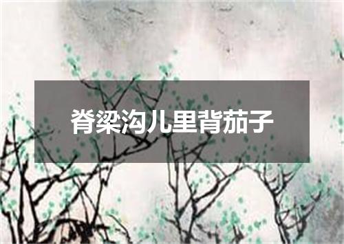 脊梁沟儿里背茄子