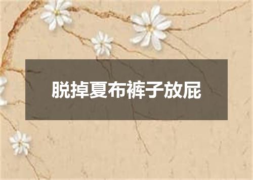 脱掉夏布裤子放屁