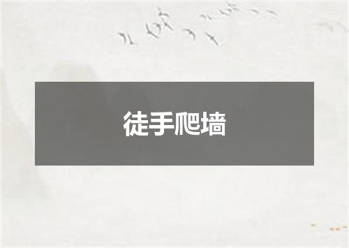 徒手爬墙