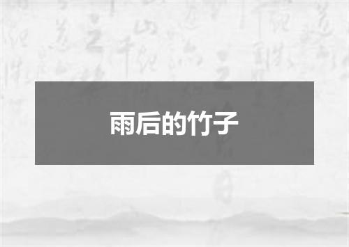 雨后的竹子