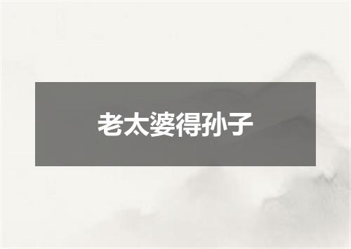 老太婆得孙子