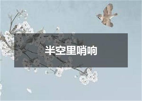 半空里哨响
