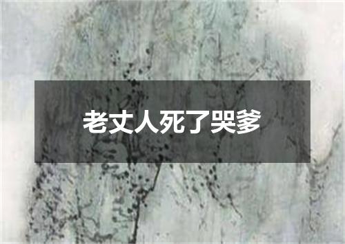 老丈人死了哭爹