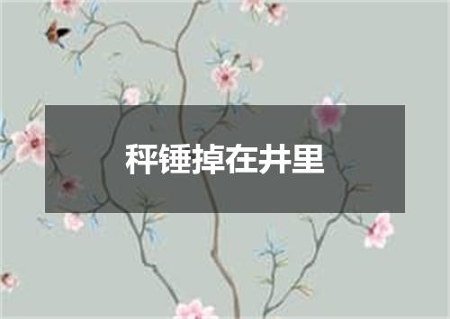 秤锤掉在井里