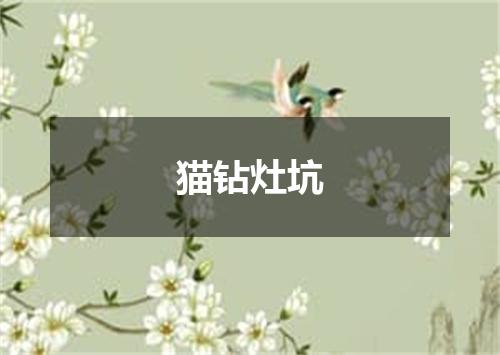 猫钻灶坑