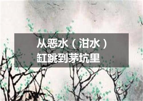 从恶水（泔水）缸跳到茅坑里