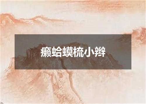 癞蛤蟆梳小辫