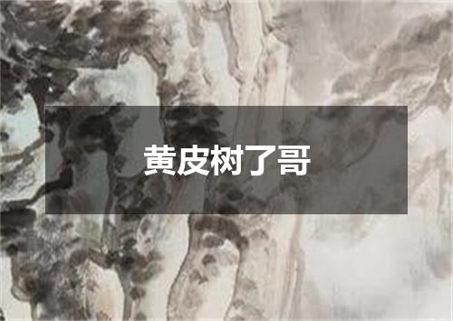 黄皮树了哥