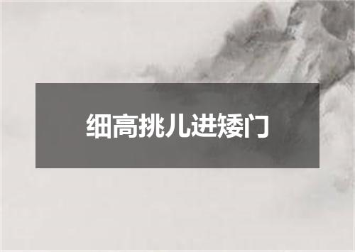 细高挑儿进矮门