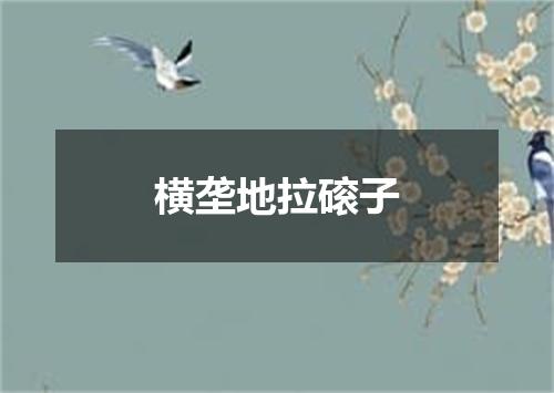 横垄地拉磙子