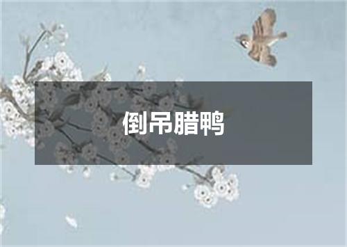 倒吊腊鸭