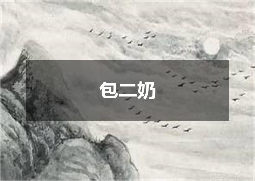 包二奶