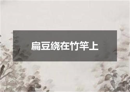 扁豆绕在竹竿上