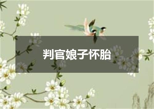 判官娘子怀胎