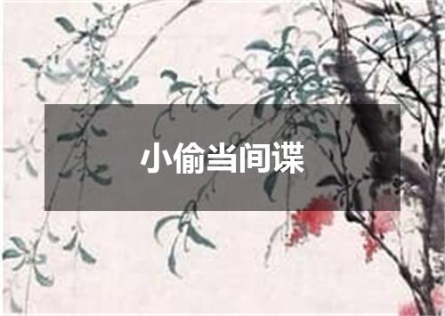 小偷当间谍