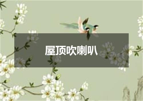 屋顶吹喇叭