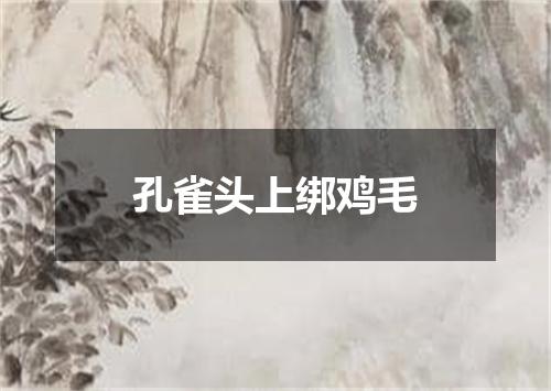 孔雀头上绑鸡毛