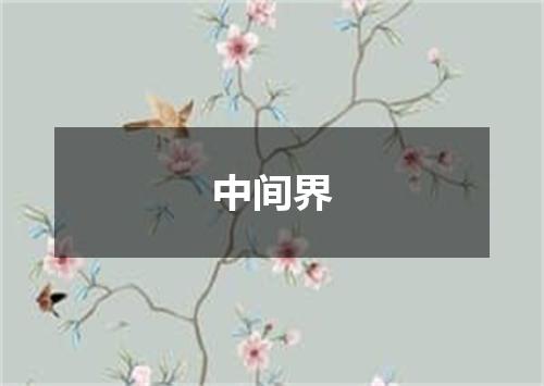 中间界