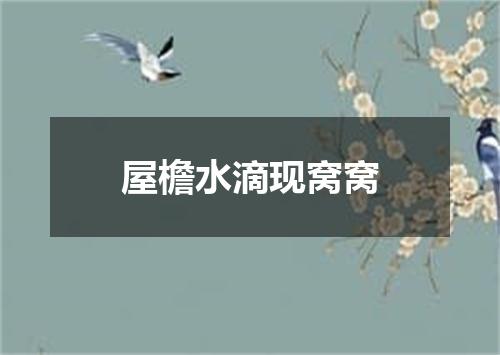 屋檐水滴现窝窝