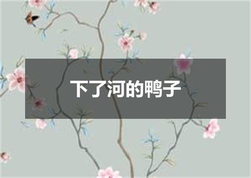 下了河的鸭子