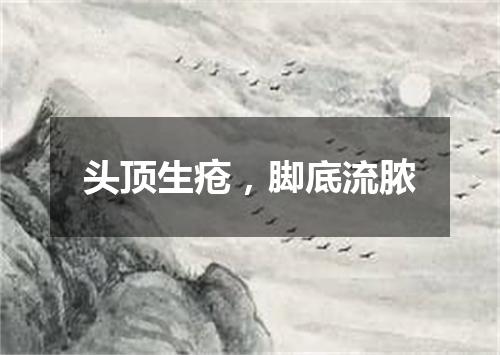 头顶生疮，脚底流脓