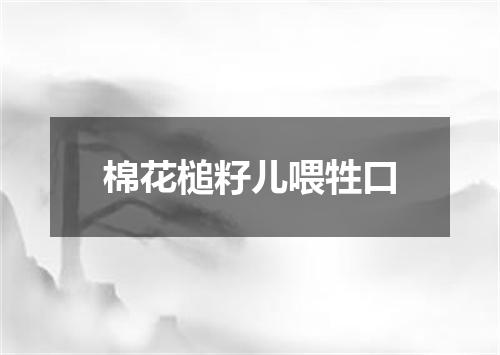 棉花槌籽儿喂牲口