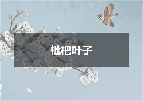 枇杷叶子