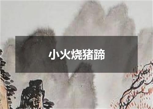 小火烧猪蹄