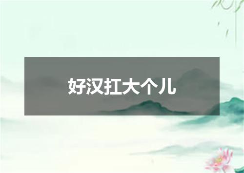 好汉扛大个儿