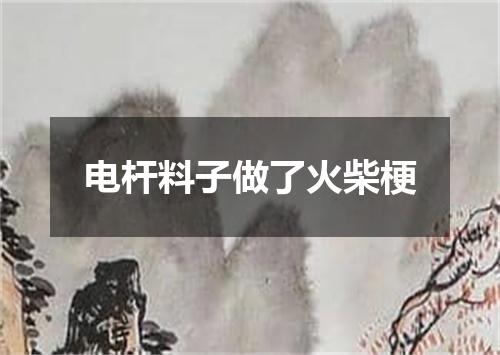 电杆料子做了火柴梗