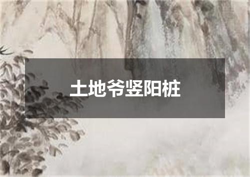 土地爷竖阳桩