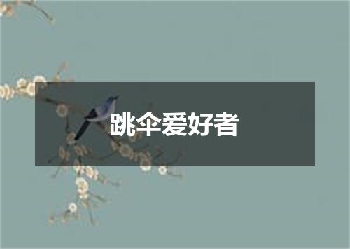 跳伞爱好者