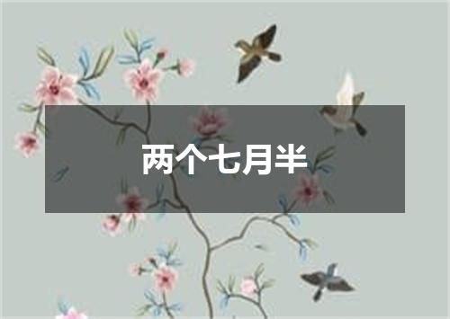 两个七月半