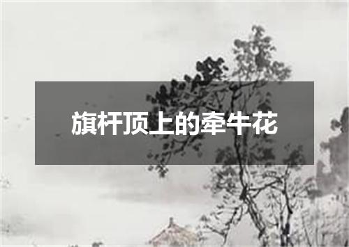 旗杆顶上的牵牛花