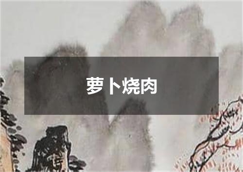 萝卜烧肉