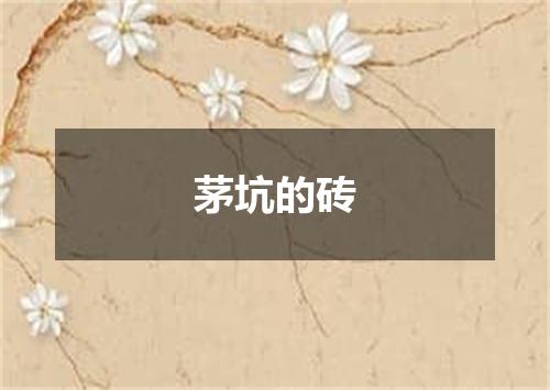 茅坑的砖
