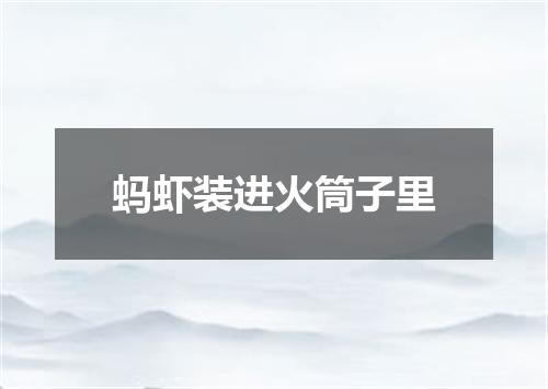 蚂虾装进火筒子里