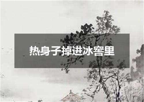 热身子掉进冰窖里