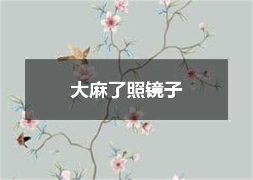 大麻了照镜子