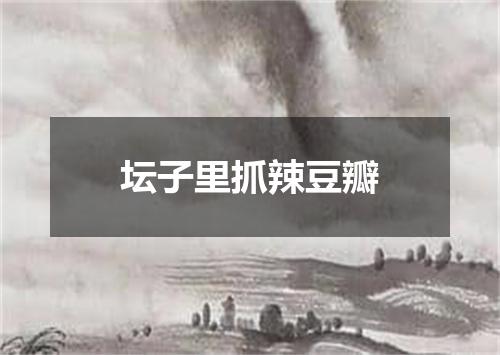 坛子里抓辣豆瓣