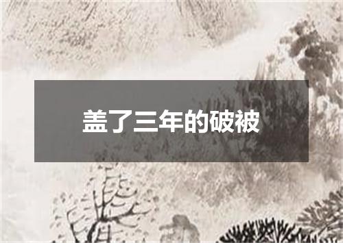 盖了三年的破被