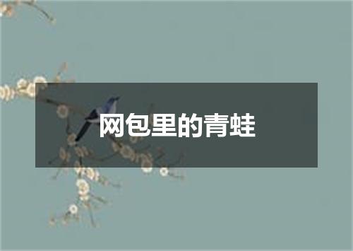 网包里的青蛙