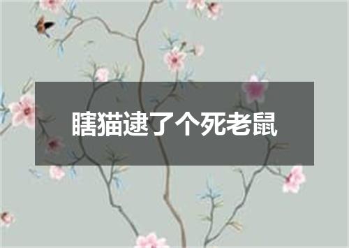 瞎猫逮了个死老鼠