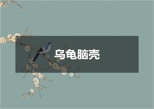 乌龟脑壳