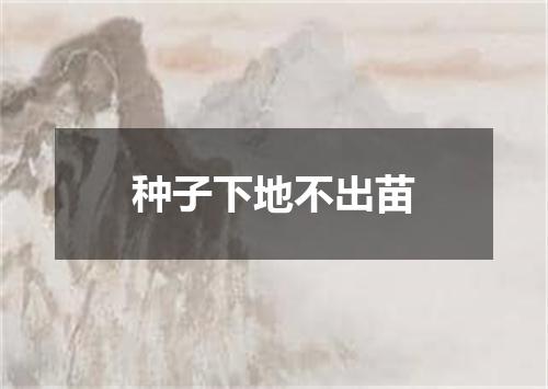 种子下地不出苗