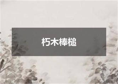 朽木棒槌