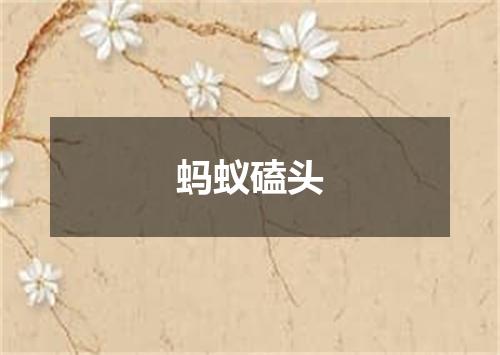 蚂蚁磕头