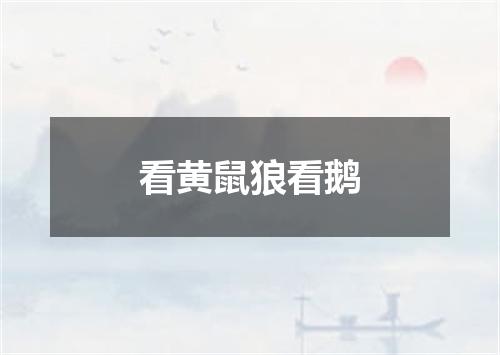 看黄鼠狼看鹅