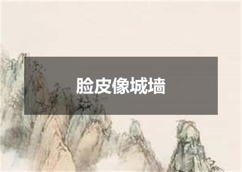 脸皮像城墙